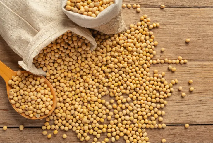 Focusing on soy and peas, Moolec taps into existing markets