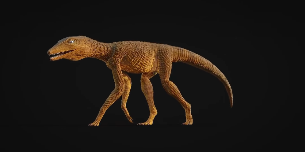 Did Ancient Crocodile Ancestors Really Run on Two Legs?