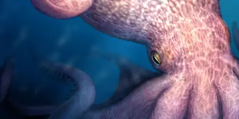 Ancient “Kraken” Octopus Discovered as Top Ocean Predator